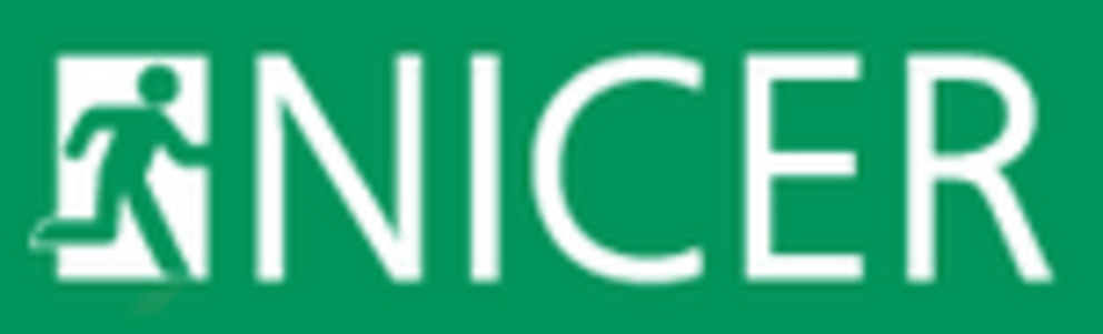 Logo Projekt Nicer