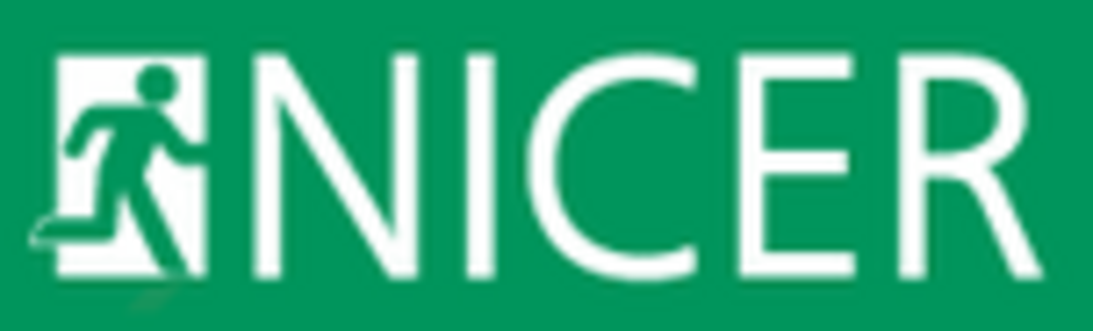 Logo Projekt Nicer Logo Projekt Nicer