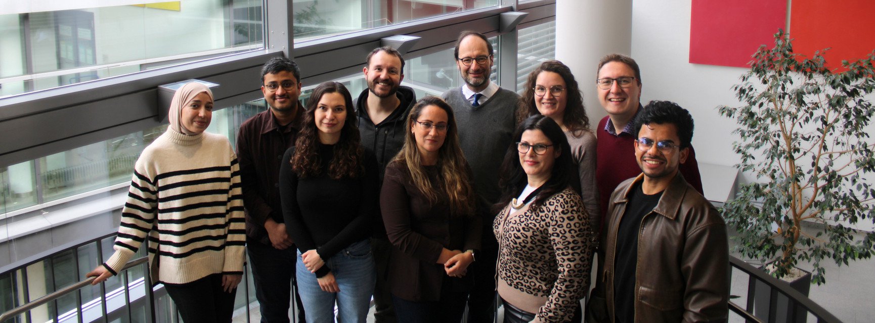 Decorative banner image