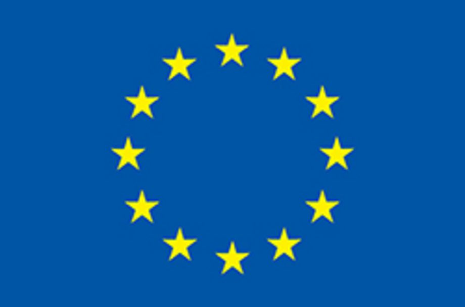 ERC Advanced Grant "ReConFort" - Europas Verfassung braucht Kommunikation
