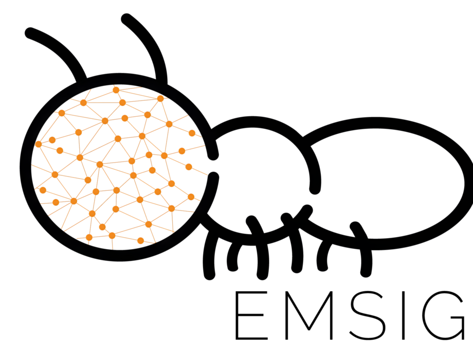 Projekt EMSIG – Energie intelligent verwalten