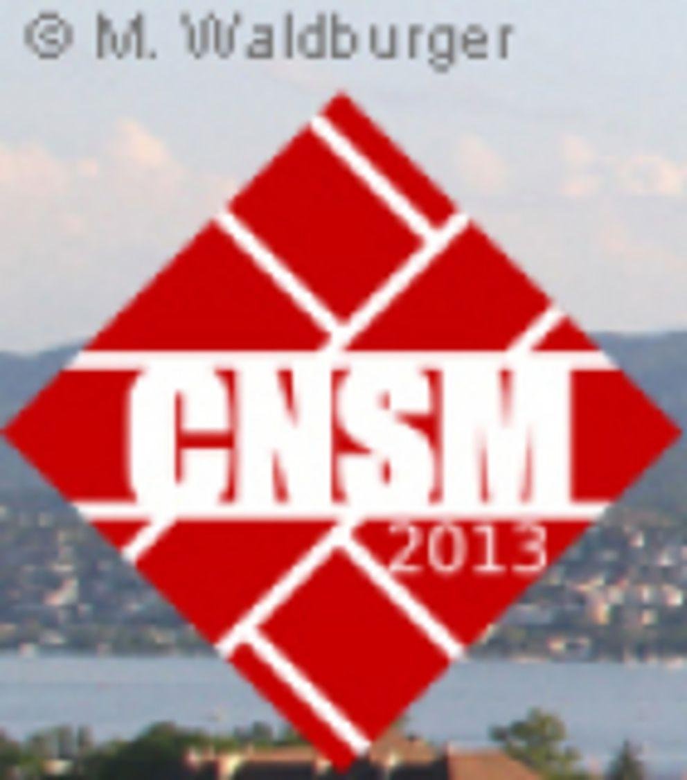 Logo CNSM Logo CNSM