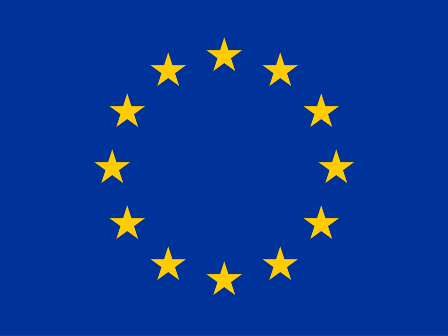 Euro-NGI - Design and Engineering of the Next Generation Internet