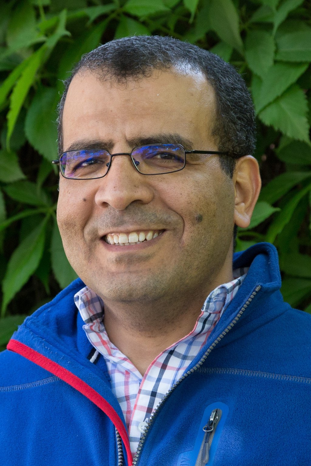 Prof. Dr. Alsayed Algergawy