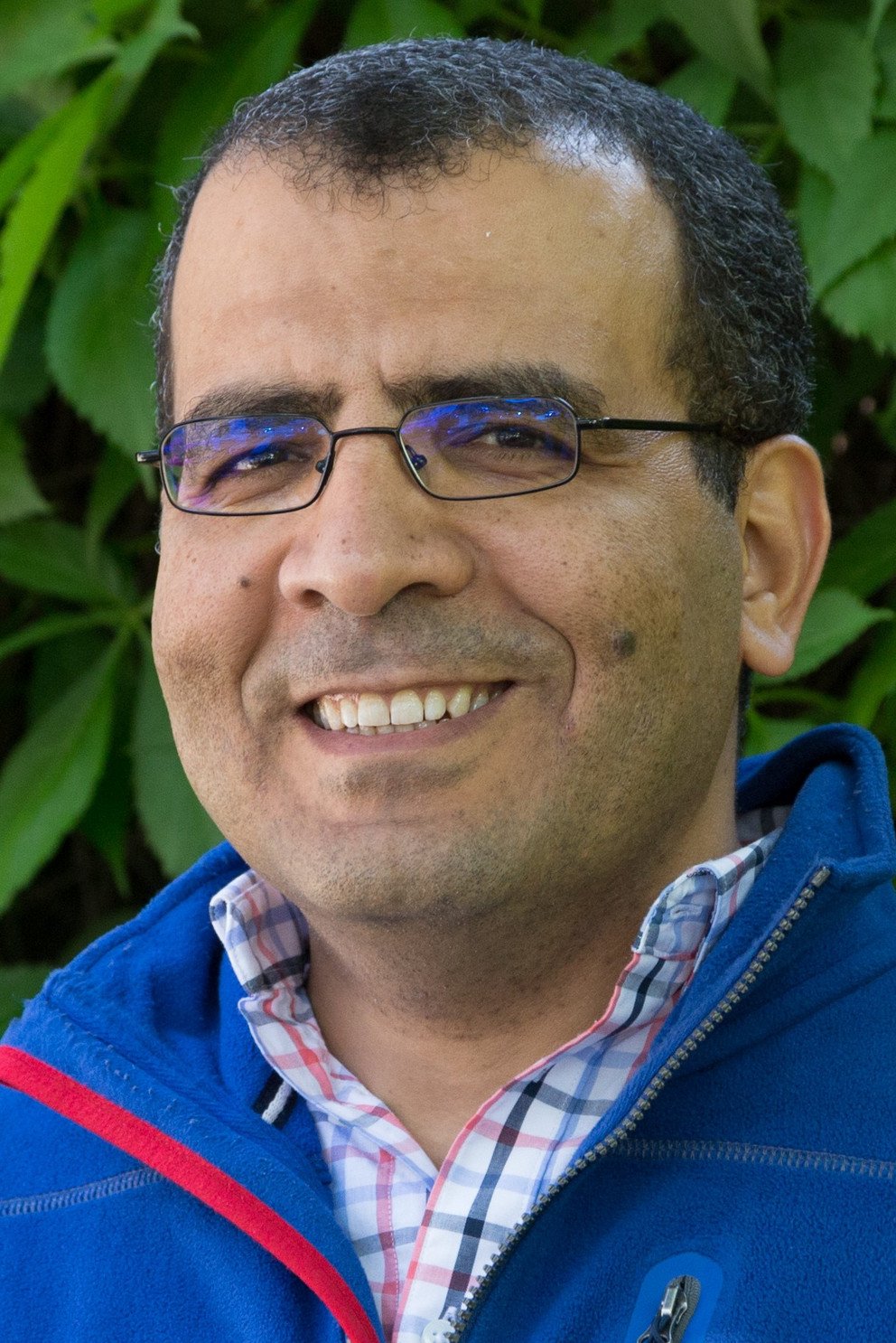Bild Algergawy Prof. Dr. Alsayed Algergawy