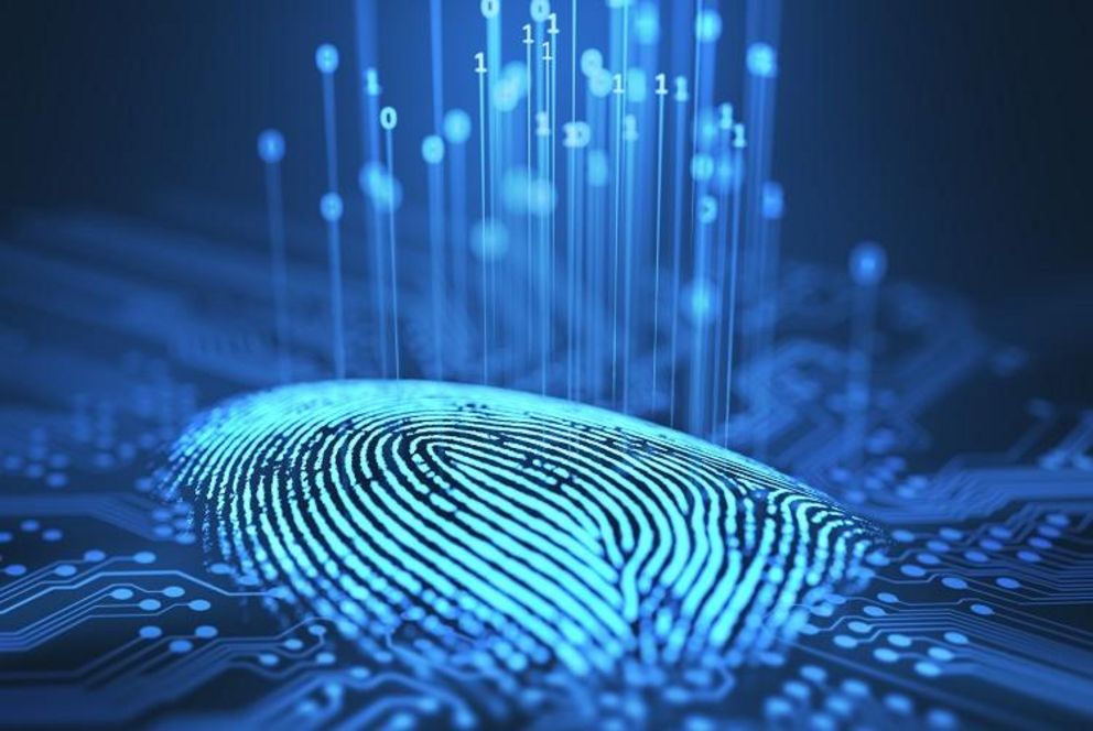 Digital fingerprint (image: Colourbox)